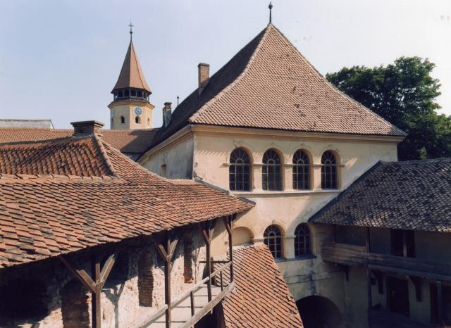 Burg216