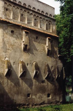 Burgmauern