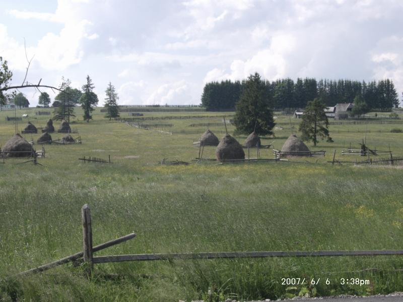 RumNord03 2007