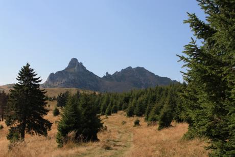 Ciucas 2011
