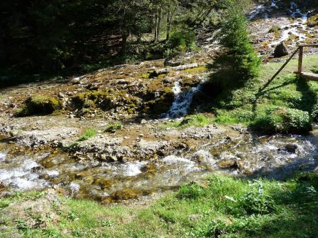 Ciucas 2011
