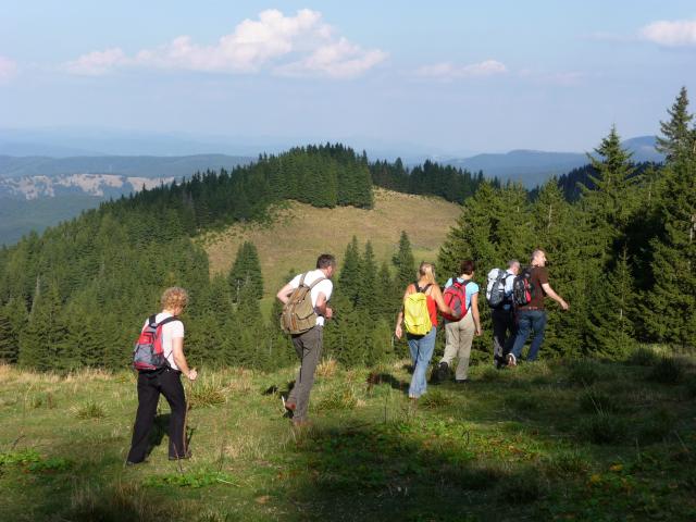 Ciucas 2011