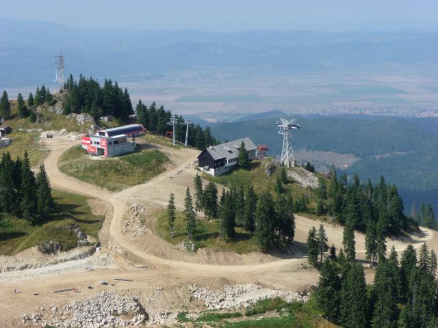 Schuler 2011