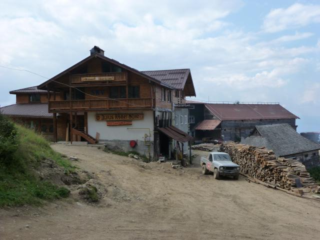 Schuler 2011