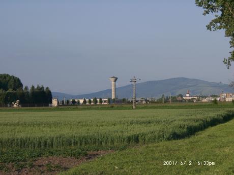 Tartlau 2001