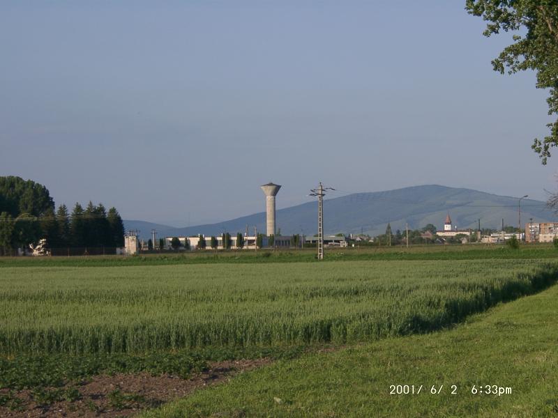Tartlau 2001