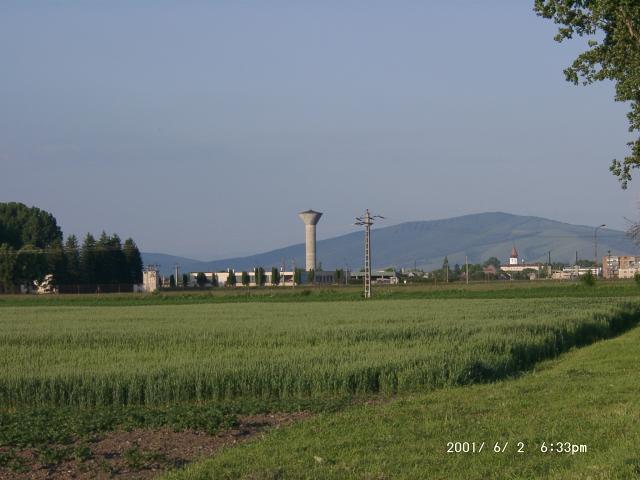 Tartlau 2001