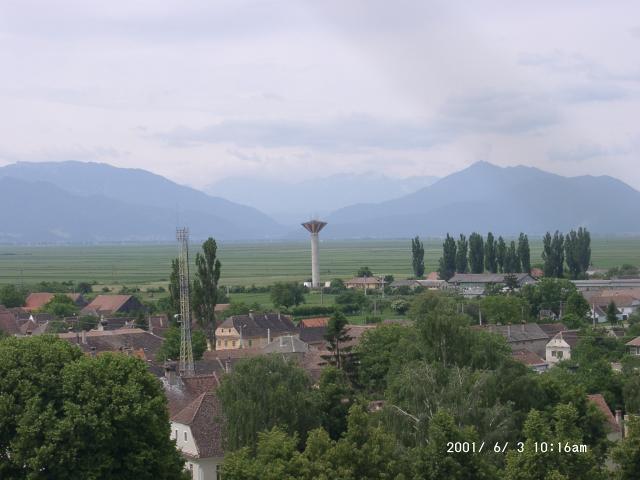 Tartlau 2001