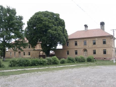 Tartlau 2007