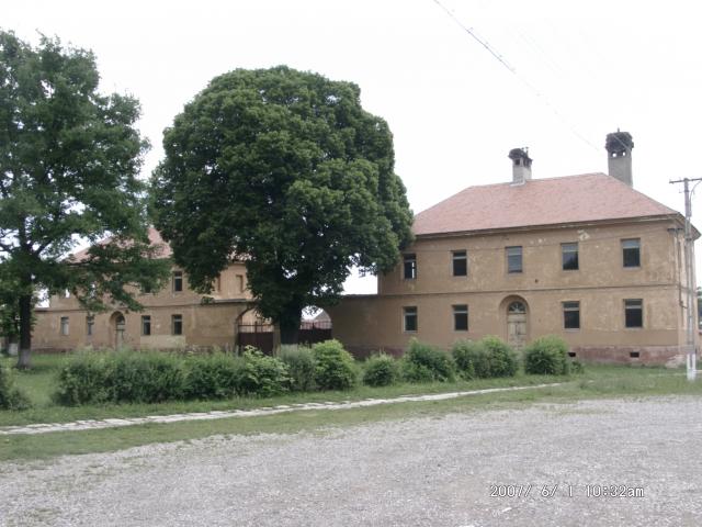 Tartlau 2007