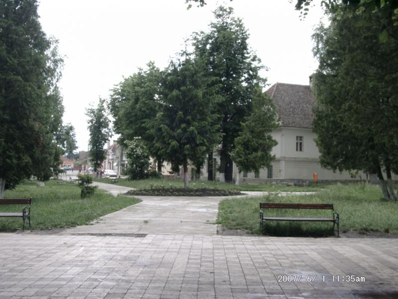 Tartlau 2007