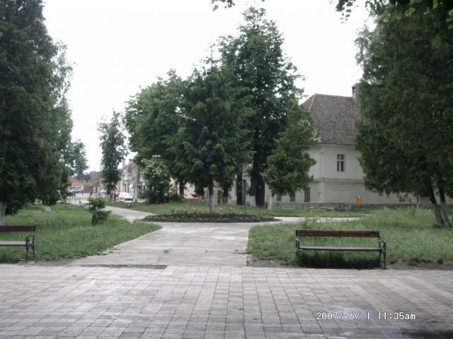 Tartlau 2007
