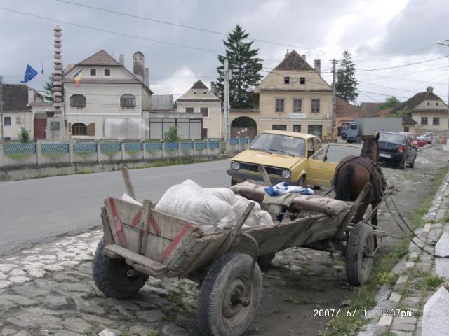 Tartlau 2007