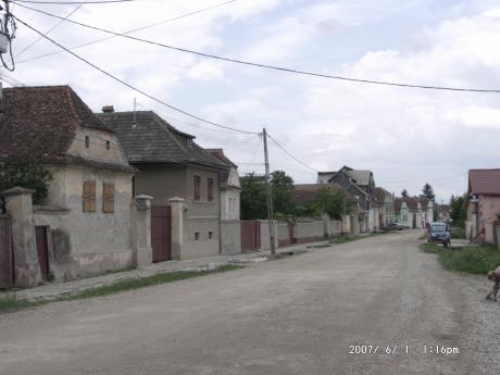 Tartlau 2007