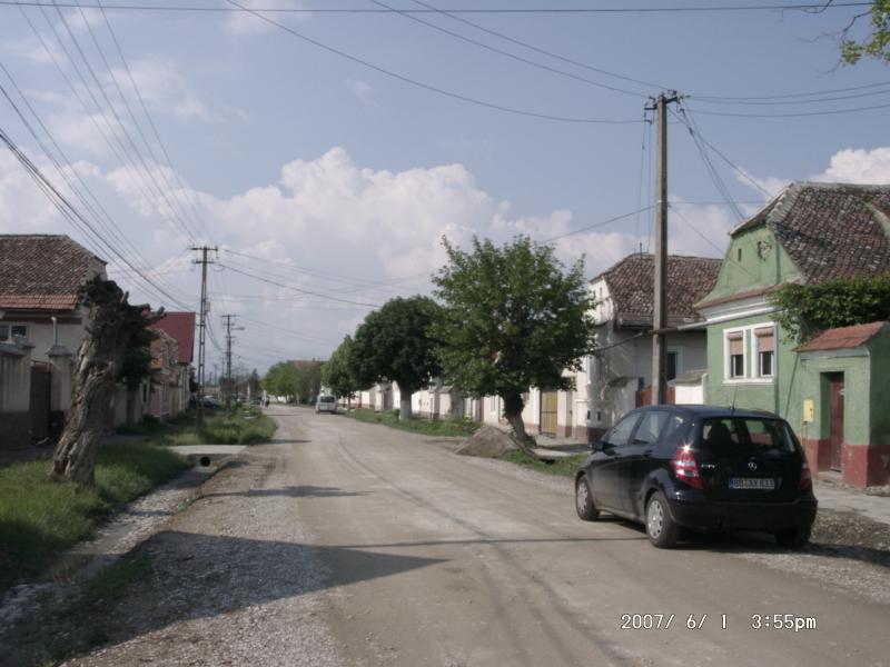 Tartlau 2007