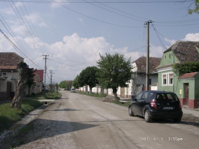 Tartlau 2007