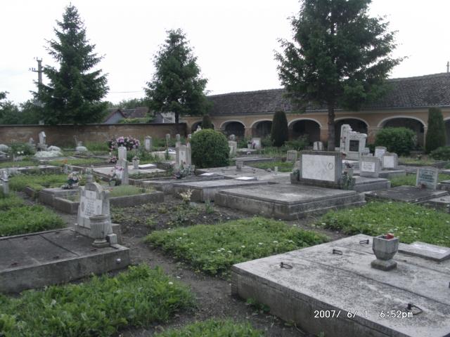 Tartlau 2007