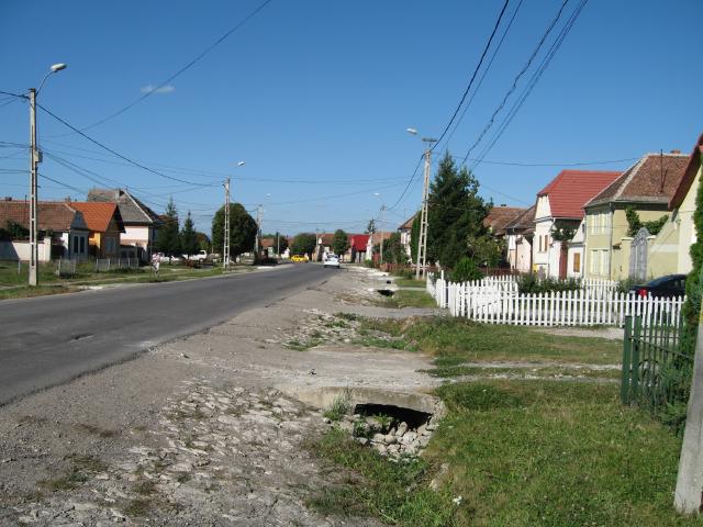 Gassen 2011