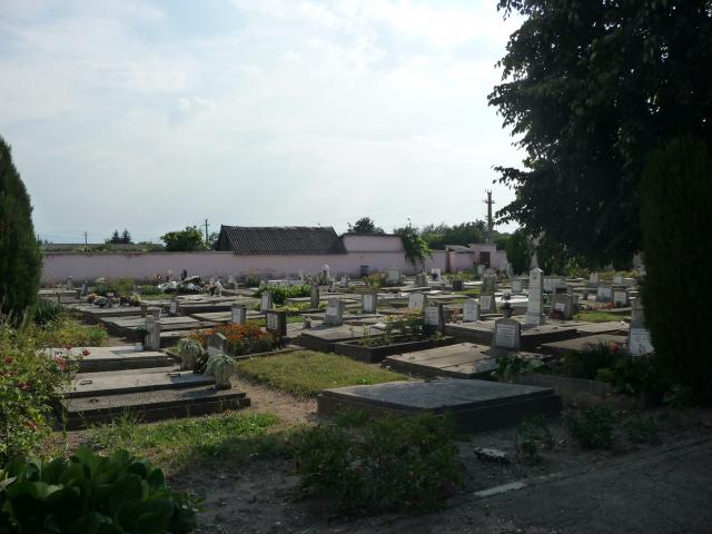 Friedhof 2015