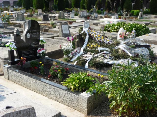 Friedhof 2015