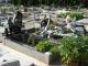 Friedhof 2015