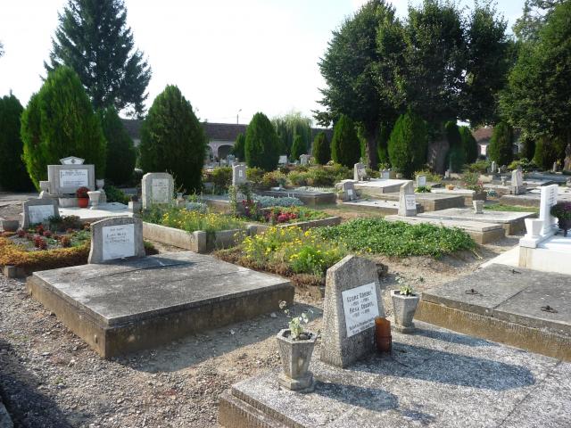 Friedhof 2015