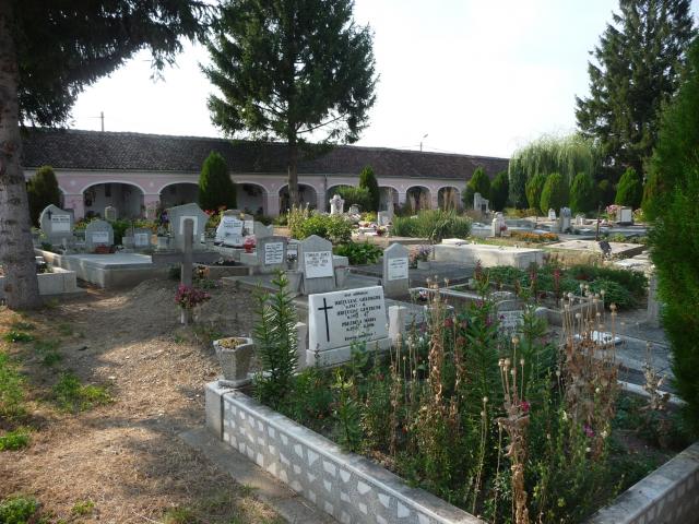 Friedhof 2015