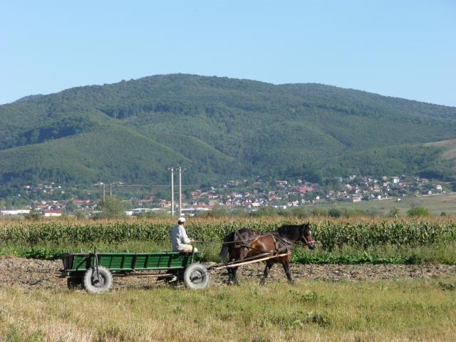 Umgebung 2011