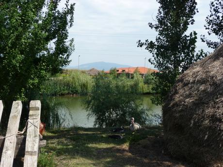 Umgebung 2015