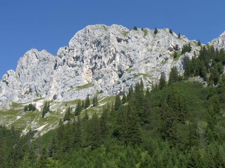 Tannh. Tal