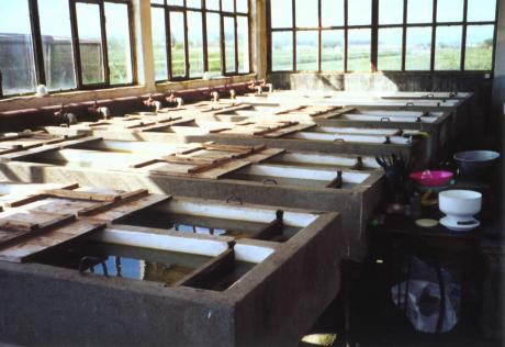 Brutkästen in der dritten Fischzucht in Tartlau.