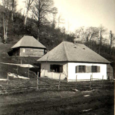 Imkerei04