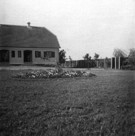 Haus