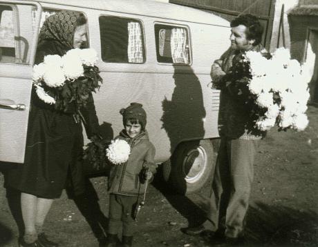 Schnittblumen